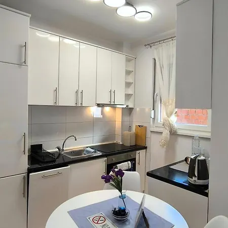 Center 2-bedroom With Private Garage, Bijeljina